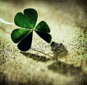 织梦DEDECMS后台生成没反应，更新不了的完美解决方案